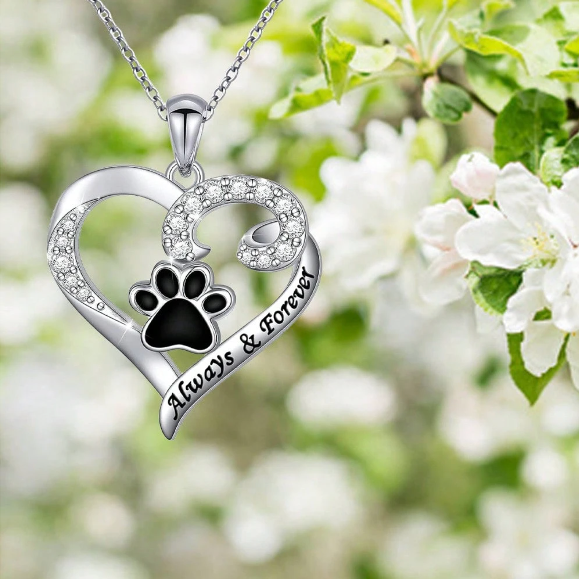 Dog Paw Collar – Heart Design in Stainless Steel with Zirconia